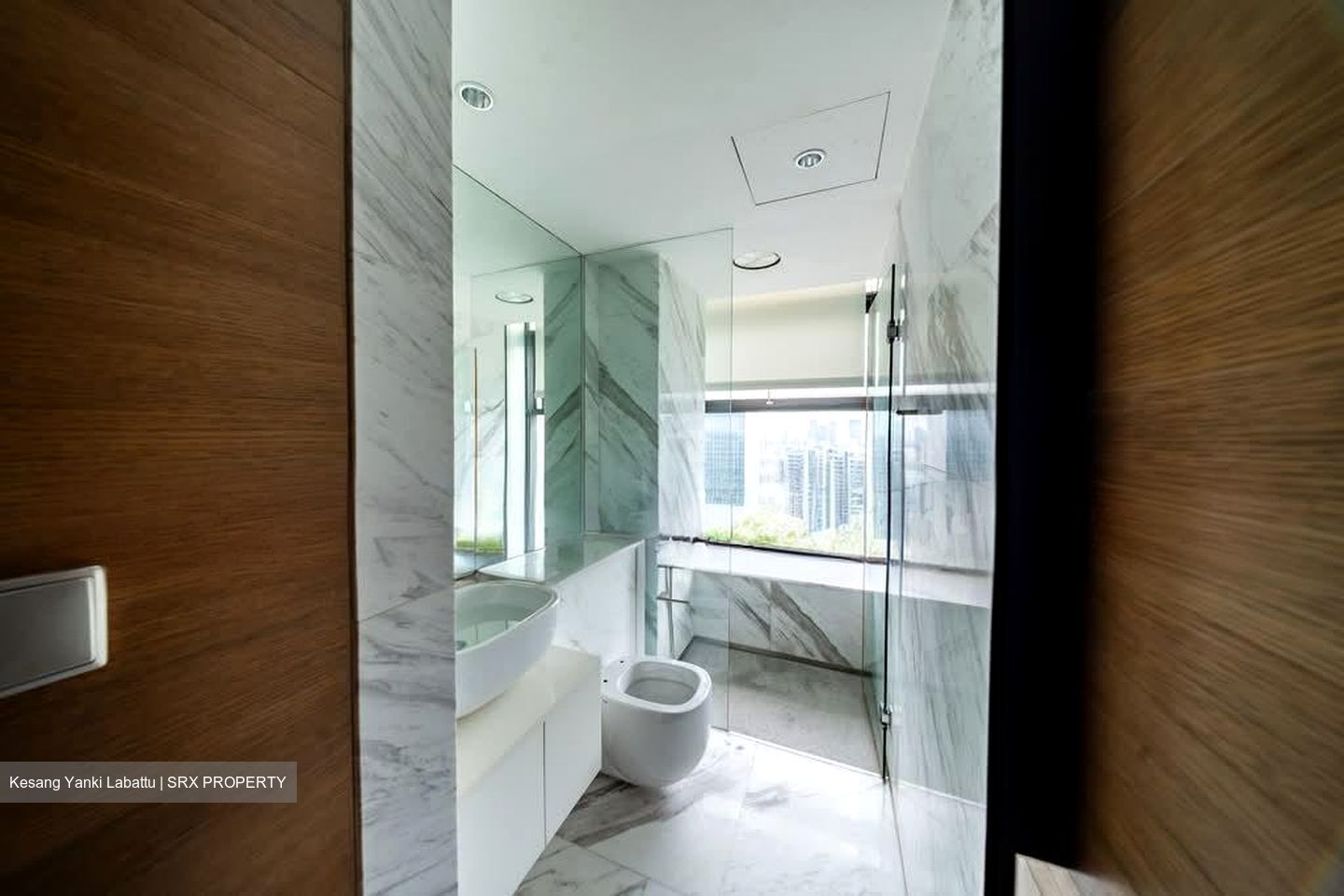 Newton Suites (D11), Apartment #533324031
